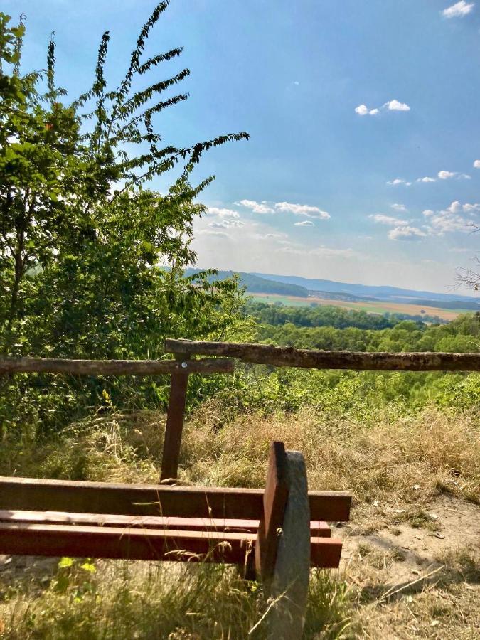 Ferienhaus Moni Mit 2 Separaten Wohnungen Am Silbersee Frielendorf Exteriör bild